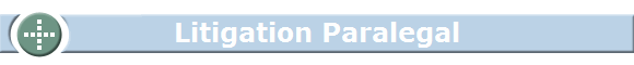 Litigation Paralegal Litigation Paralegal