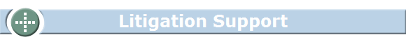 Litigation Support Litigation Support