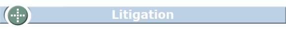 Litigation Litigation